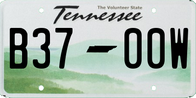 TN license plate B3700W