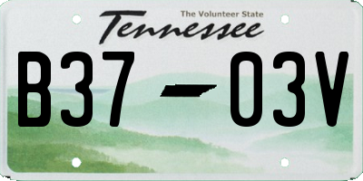 TN license plate B3703V