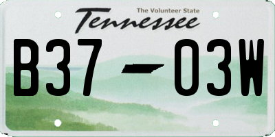 TN license plate B3703W