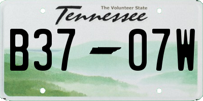 TN license plate B3707W