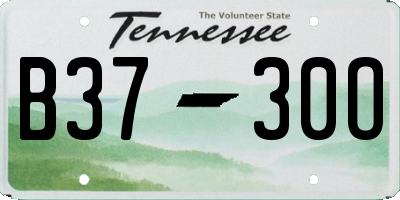 TN license plate B3730O