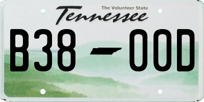 TN license plate B3800D
