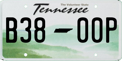 TN license plate B3800P