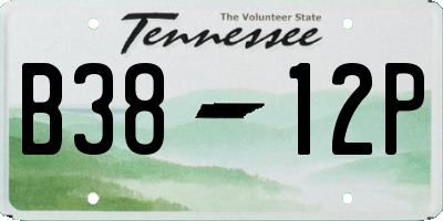 TN license plate B3812P