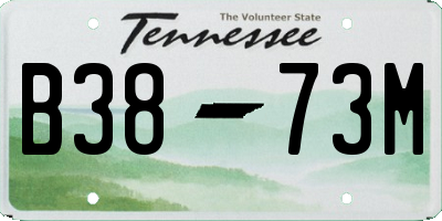 TN license plate B3873M