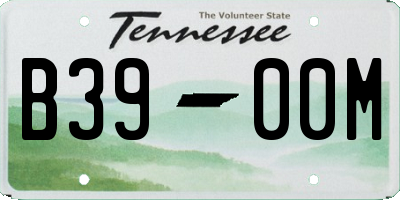 TN license plate B3900M