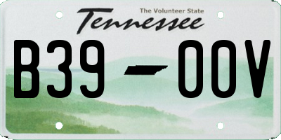 TN license plate B3900V