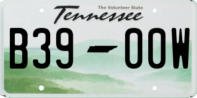 TN license plate B3900W