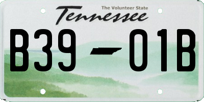 TN license plate B3901B