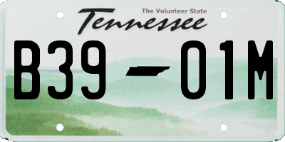 TN license plate B3901M