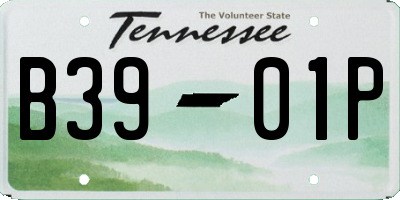 TN license plate B3901P