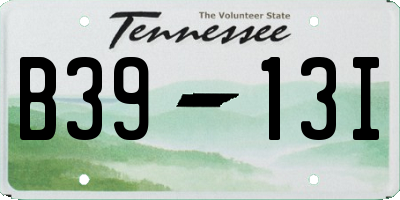 TN license plate B3913I