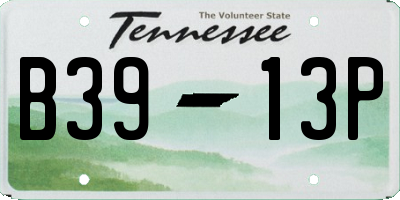TN license plate B3913P