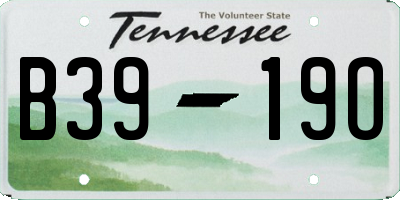 TN license plate B3919O