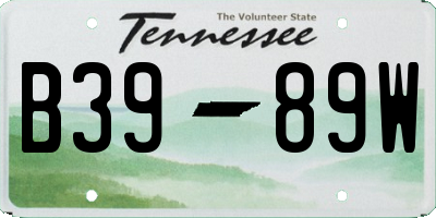 TN license plate B3989W