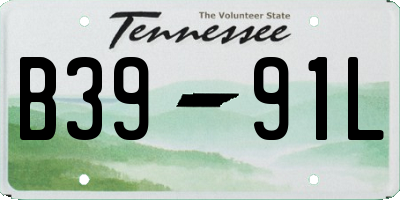 TN license plate B3991L