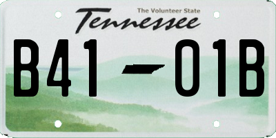 TN license plate B4101B