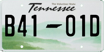 TN license plate B4101D