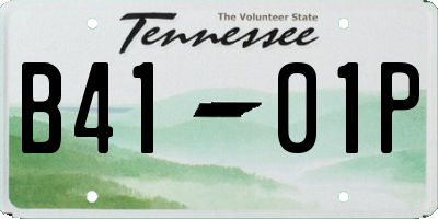 TN license plate B4101P