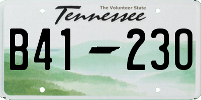 TN license plate B4123O