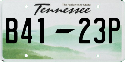 TN license plate B4123P