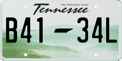 TN license plate B4134L