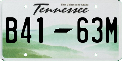 TN license plate B4163M