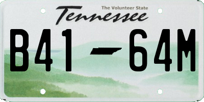 TN license plate B4164M