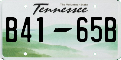 TN license plate B4165B