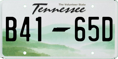 TN license plate B4165D