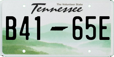 TN license plate B4165E