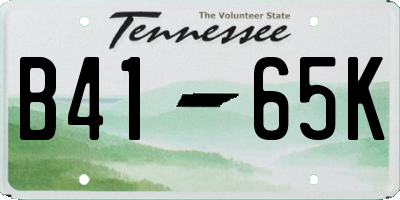 TN license plate B4165K