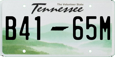 TN license plate B4165M