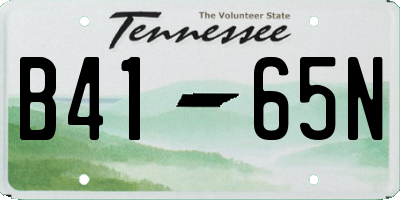 TN license plate B4165N