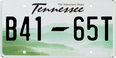TN license plate B4165T