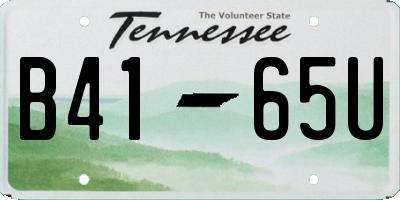 TN license plate B4165U