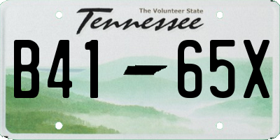 TN license plate B4165X
