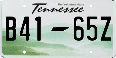 TN license plate B4165Z