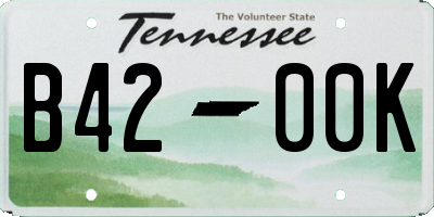 TN license plate B4200K