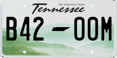 TN license plate B4200M