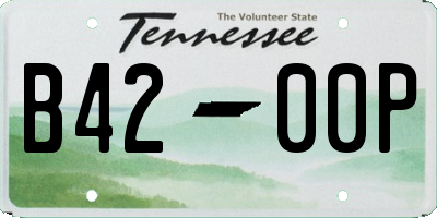 TN license plate B4200P