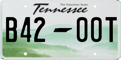 TN license plate B4200T