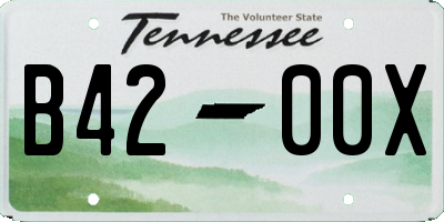 TN license plate B4200X