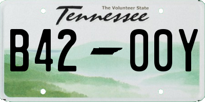 TN license plate B4200Y