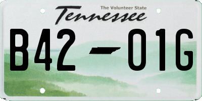 TN license plate B4201G