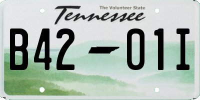 TN license plate B4201I