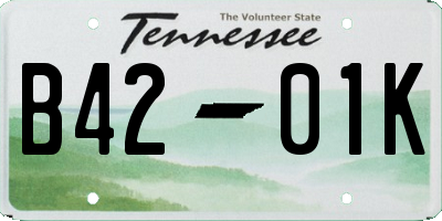 TN license plate B4201K