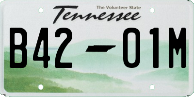 TN license plate B4201M