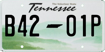 TN license plate B4201P