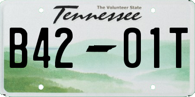 TN license plate B4201T